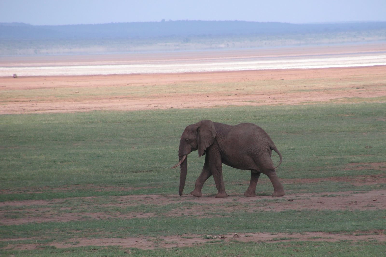 Na safari w Kraterze Ngorongoro , fot. Jerzy Kostrzewa