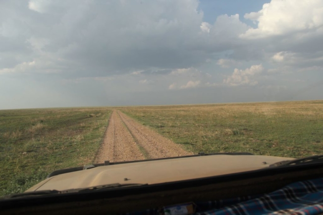 droga przez równinę Serengeti fot. Jerzy Kostrzewa