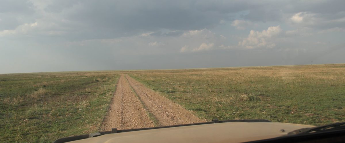 droga przez równinę Serengeti fot. Jerzy Kostrzewa