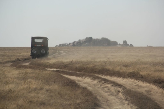 Safari na Serengeti fot. Jerzy Kostrzewa